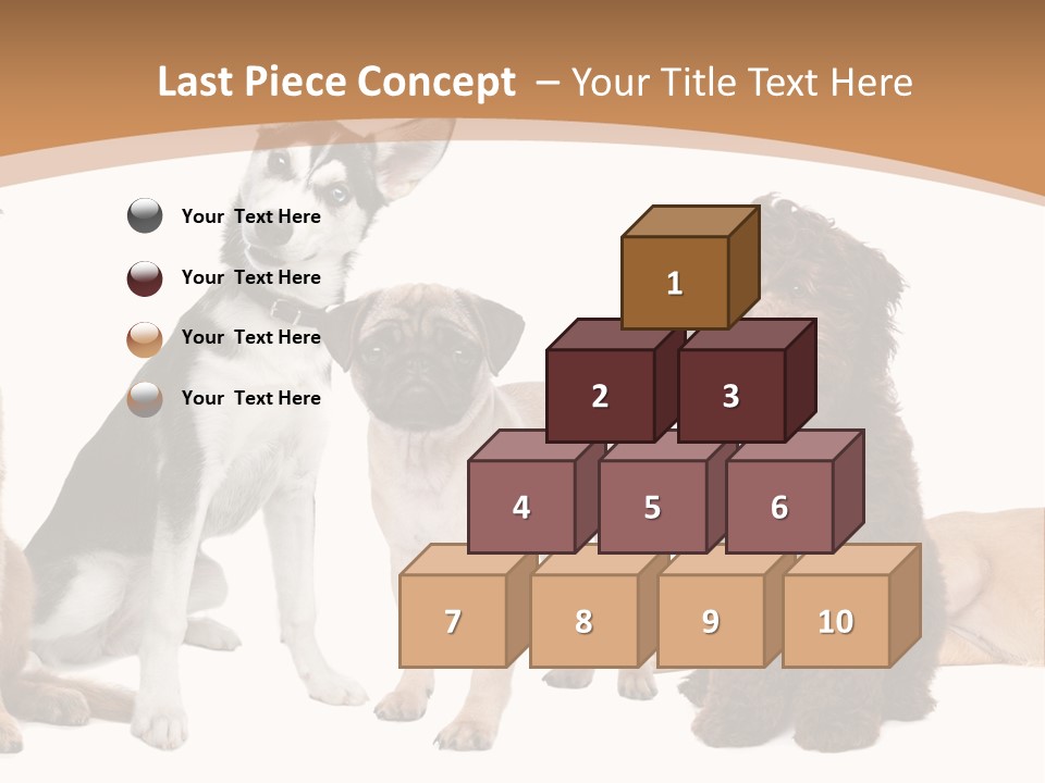 Retriever Obedience Domestic PowerPoint Template