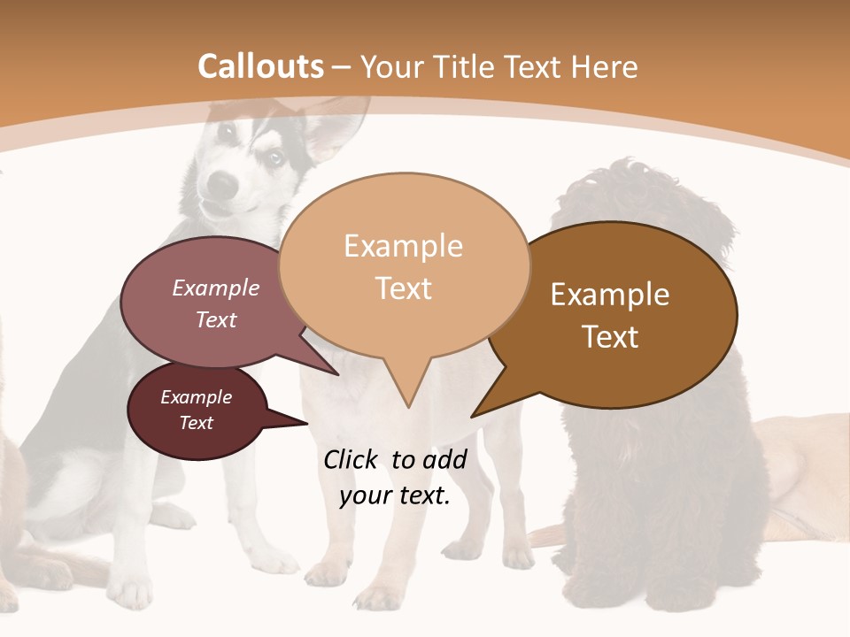 Retriever Obedience Domestic PowerPoint Template