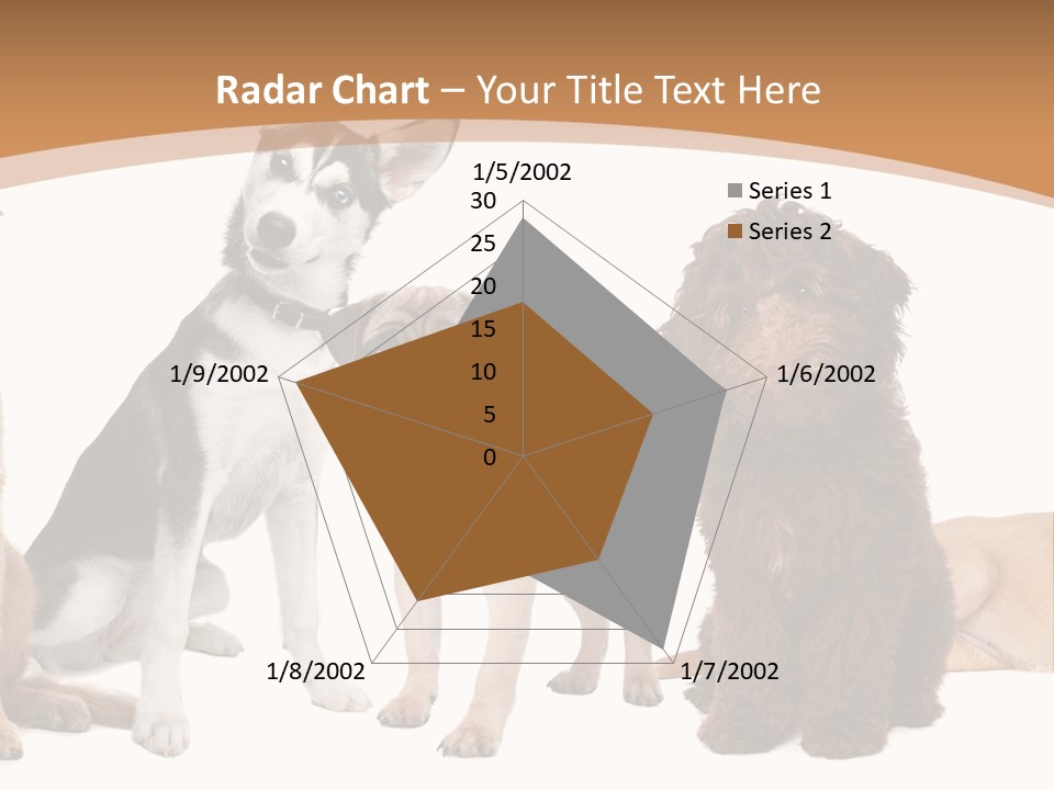 Retriever Obedience Domestic PowerPoint Template