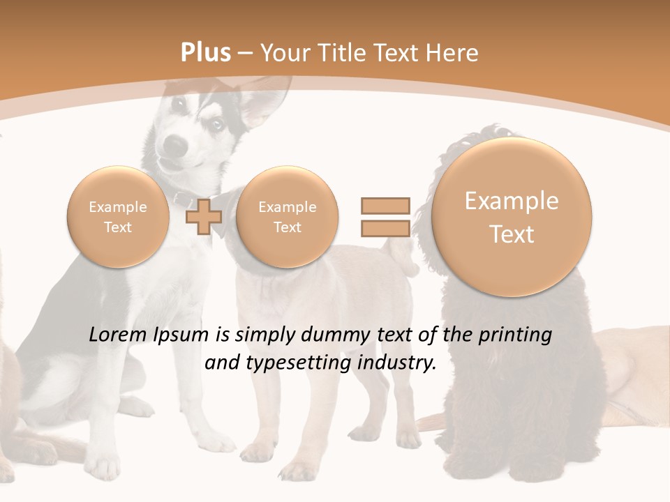Retriever Obedience Domestic PowerPoint Template