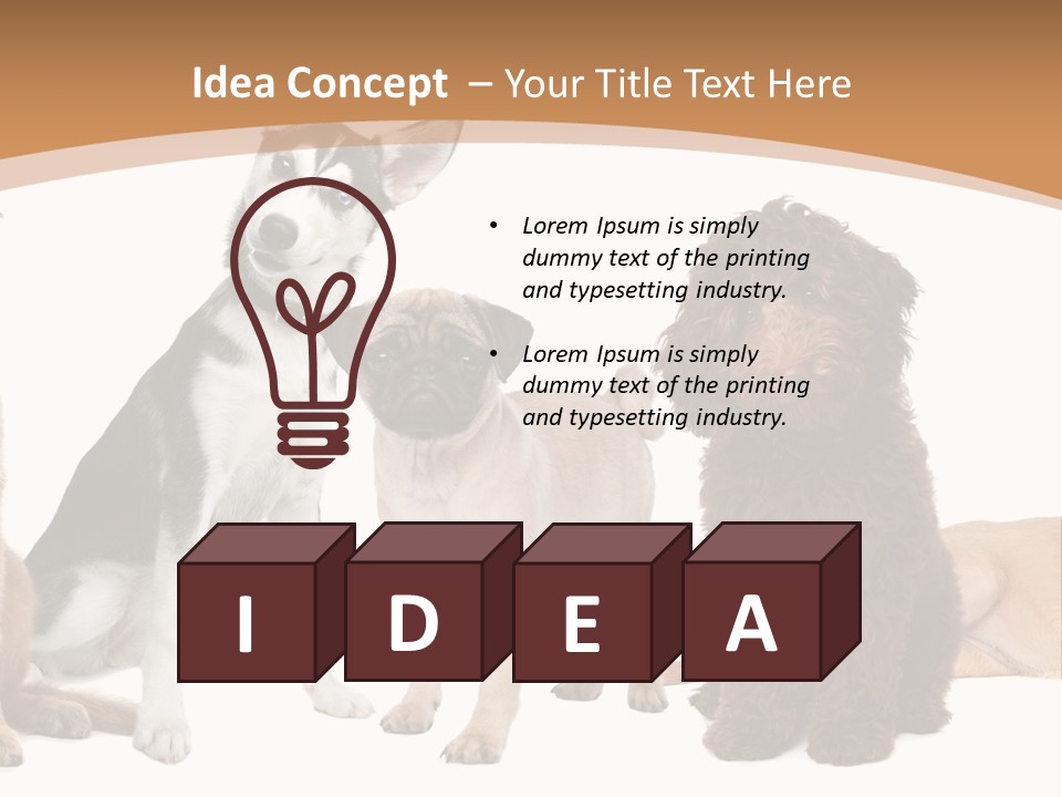 Retriever Obedience Domestic PowerPoint Template