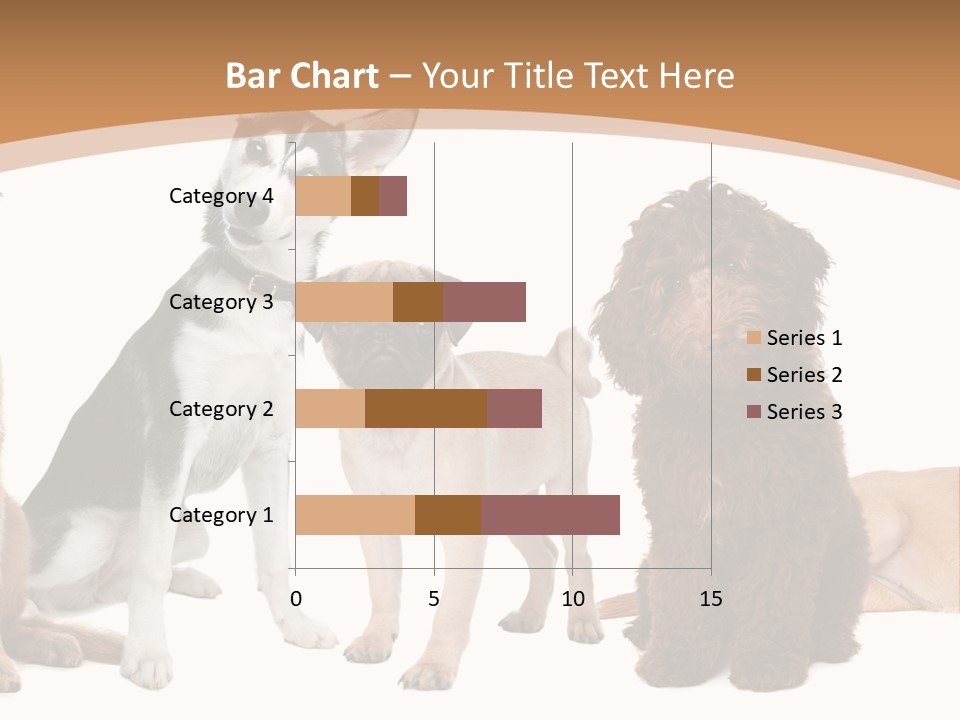 Retriever Obedience Domestic PowerPoint Template