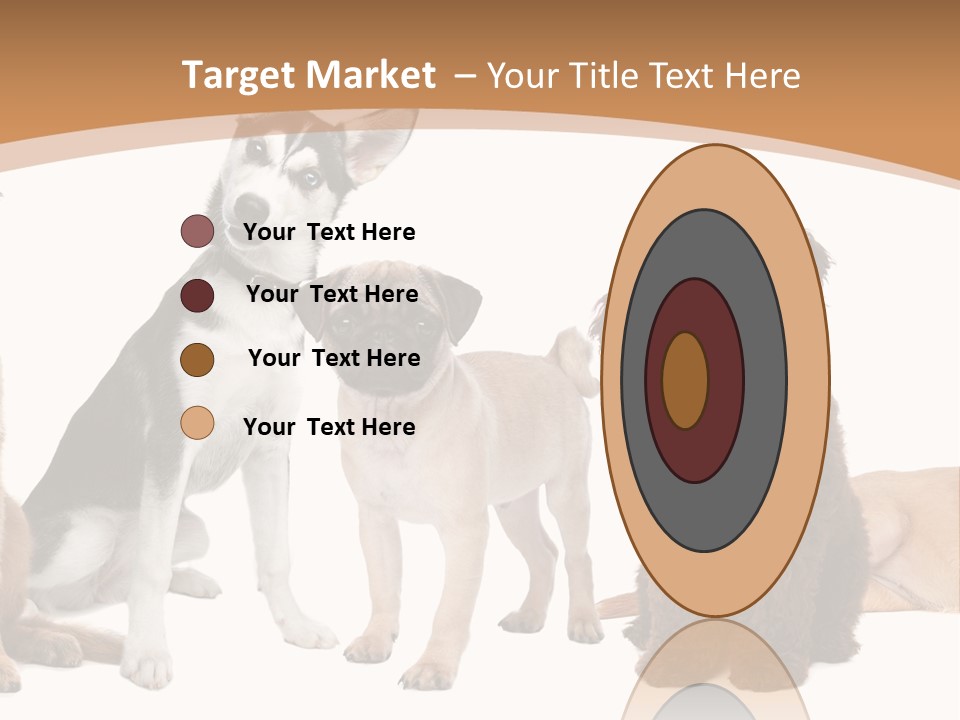 Retriever Obedience Domestic PowerPoint Template