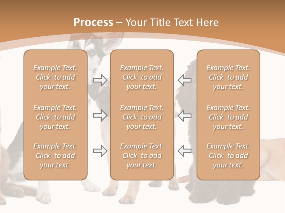 Retriever Obedience Domestic PowerPoint Template