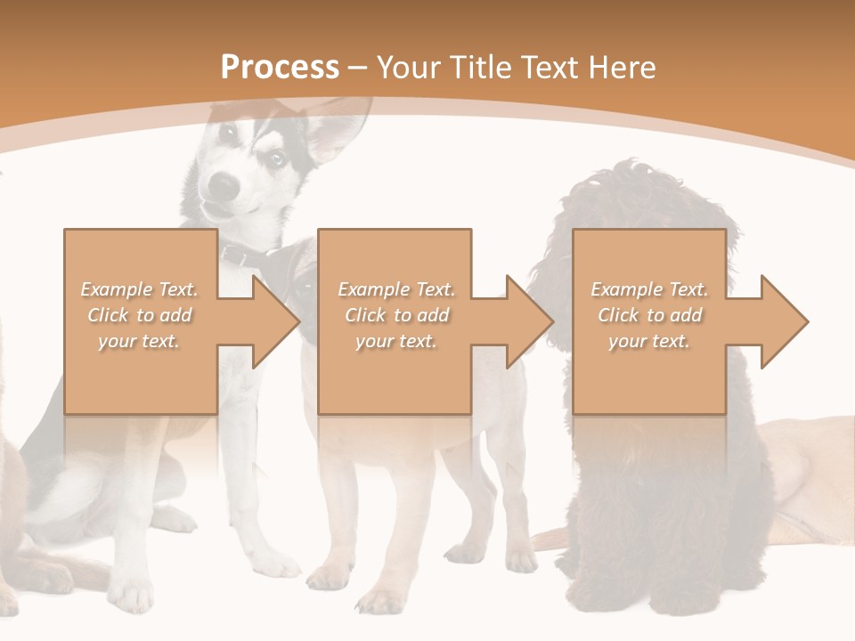 Retriever Obedience Domestic PowerPoint Template