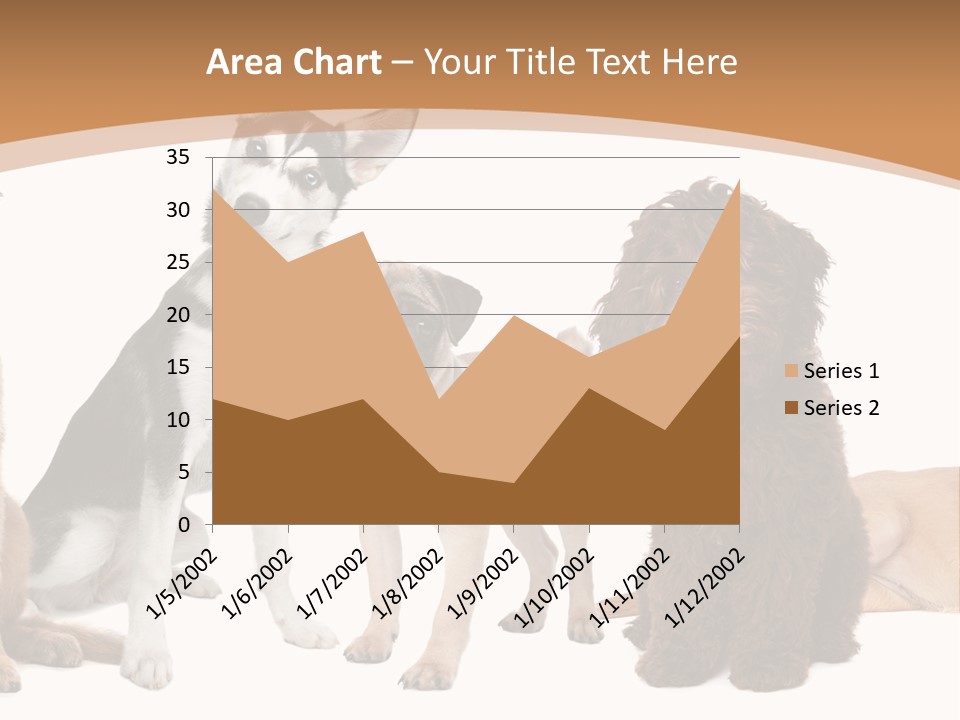 Retriever Obedience Domestic PowerPoint Template