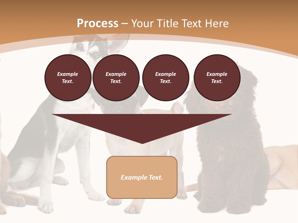 Retriever Obedience Domestic PowerPoint Template