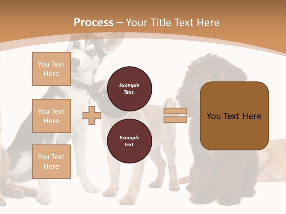 Retriever Obedience Domestic PowerPoint Template