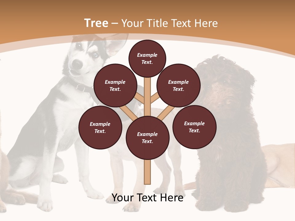 Retriever Obedience Domestic PowerPoint Template