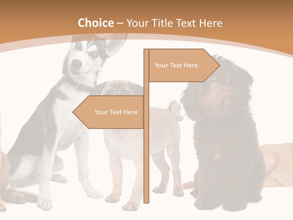 Retriever Obedience Domestic PowerPoint Template