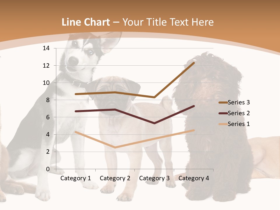 Retriever Obedience Domestic PowerPoint Template