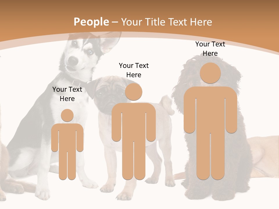 Retriever Obedience Domestic PowerPoint Template