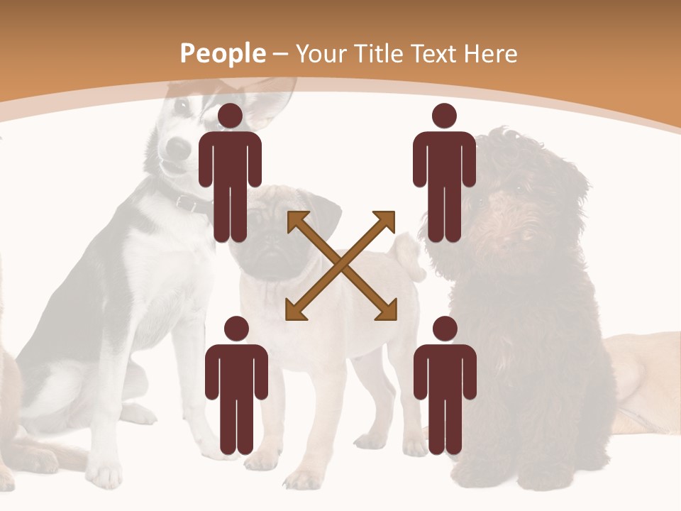 Retriever Obedience Domestic PowerPoint Template