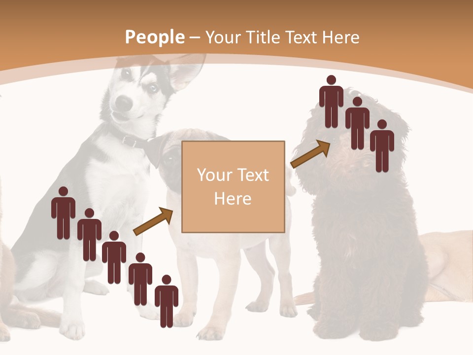 Retriever Obedience Domestic PowerPoint Template