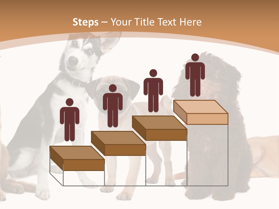 Retriever Obedience Domestic PowerPoint Template
