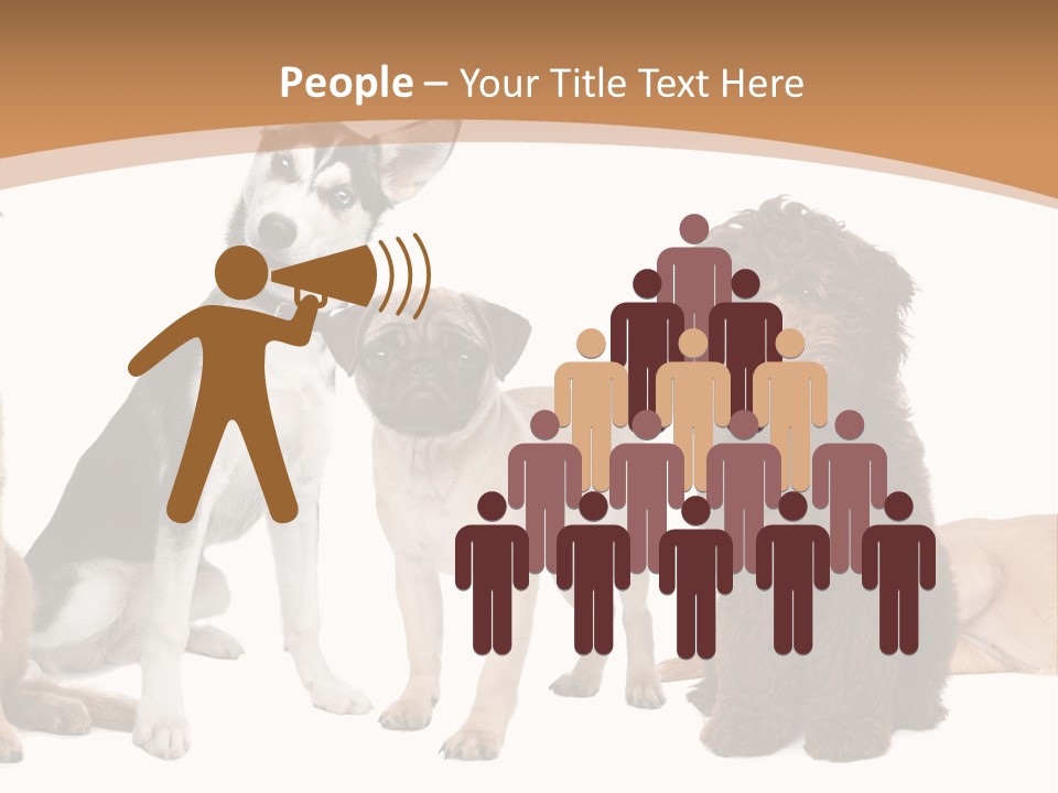 Retriever Obedience Domestic PowerPoint Template