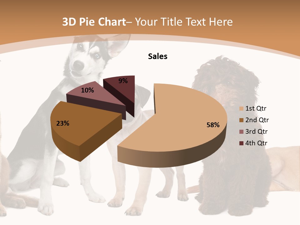 Retriever Obedience Domestic PowerPoint Template