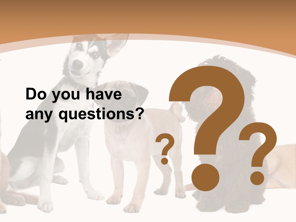 Retriever Obedience Domestic PowerPoint Template