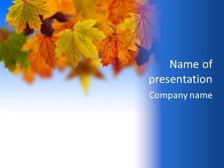 Sunny Forest Tranquil PowerPoint Template