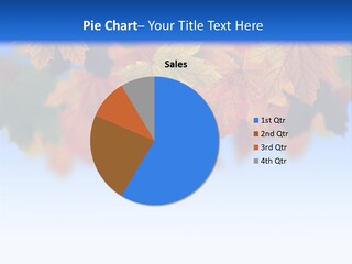 Sunny Forest Tranquil PowerPoint Template