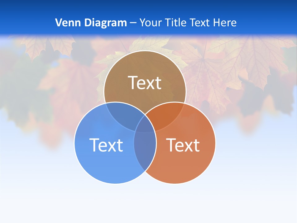 Sunny Forest Tranquil PowerPoint Template
