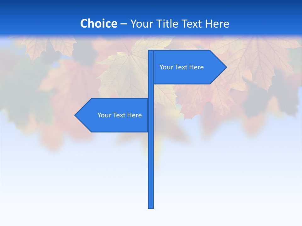 Sunny Forest Tranquil PowerPoint Template