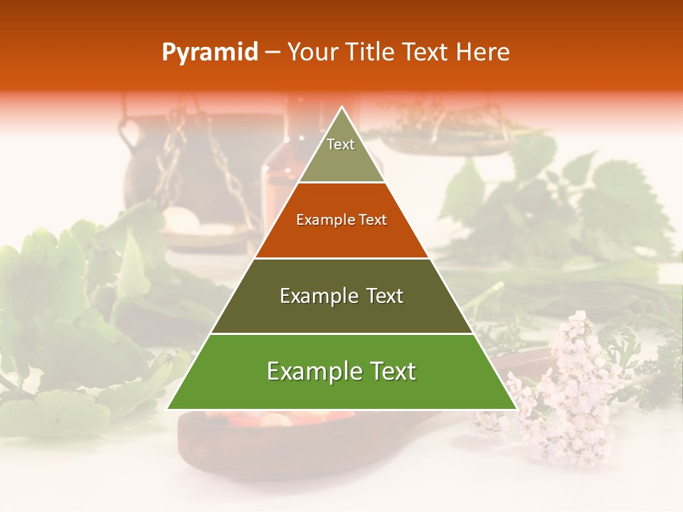 Mortar Medicinal Plantain PowerPoint Template