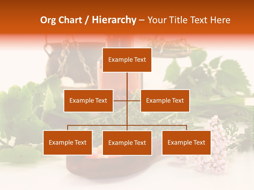 Mortar Medicinal Plantain PowerPoint Template