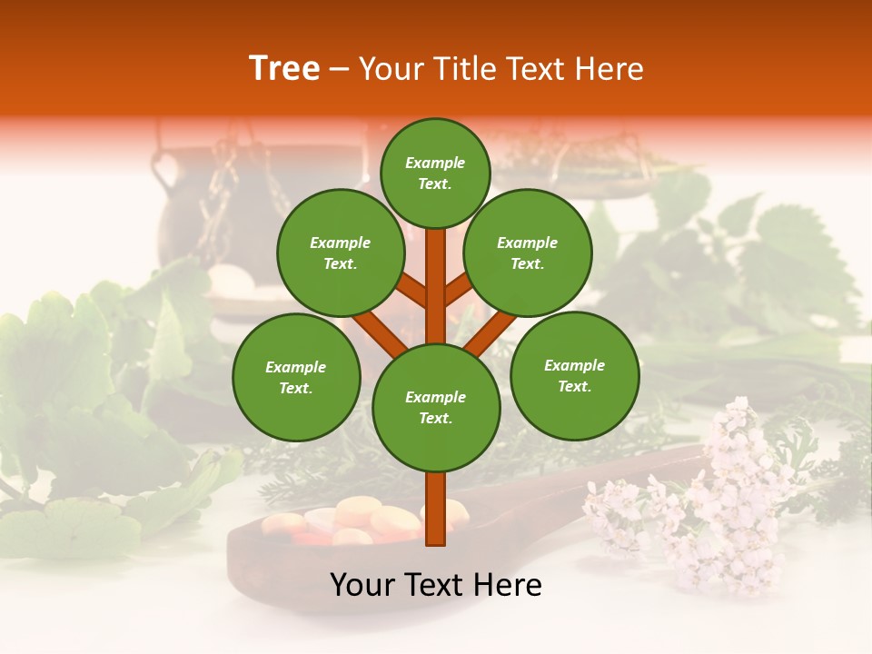 Mortar Medicinal Plantain PowerPoint Template