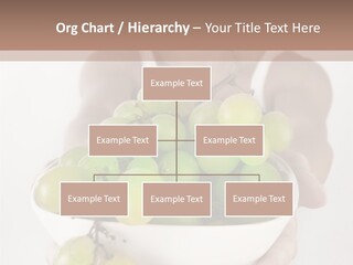 Beautiful Hand  PowerPoint Template