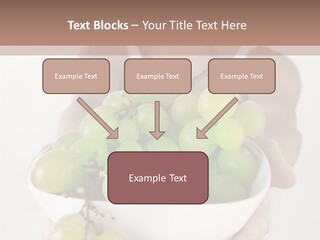 Beautiful Hand  PowerPoint Template