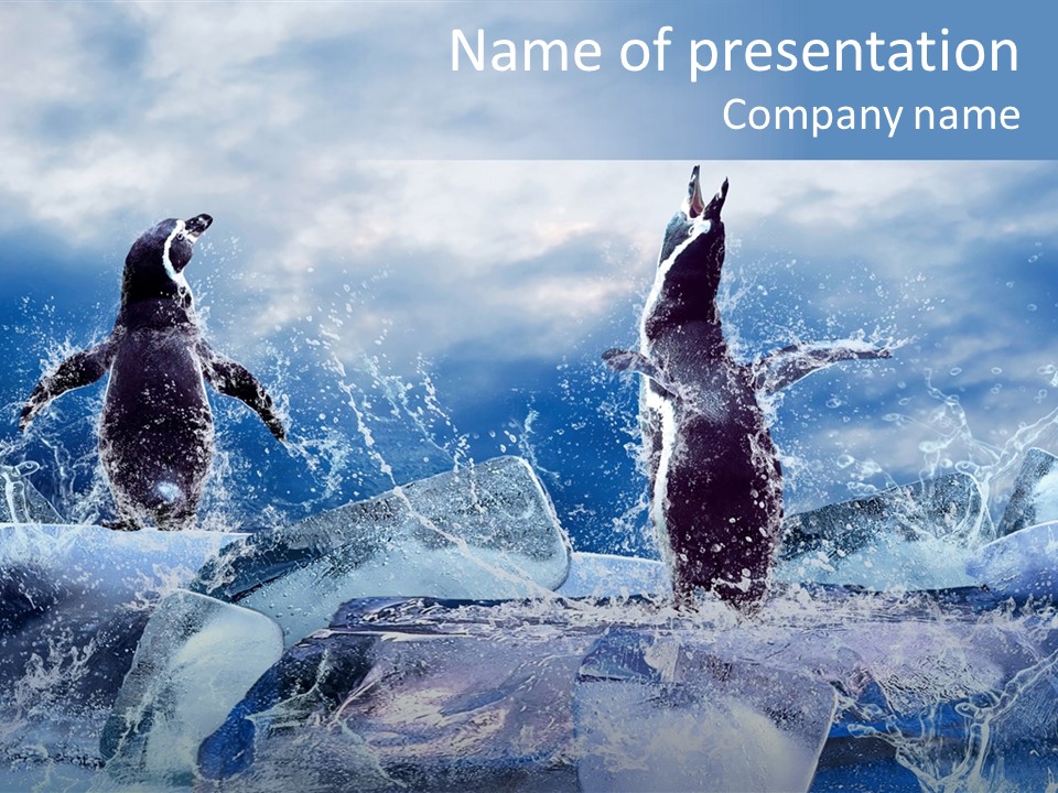 Nature Arctic Water PowerPoint Template