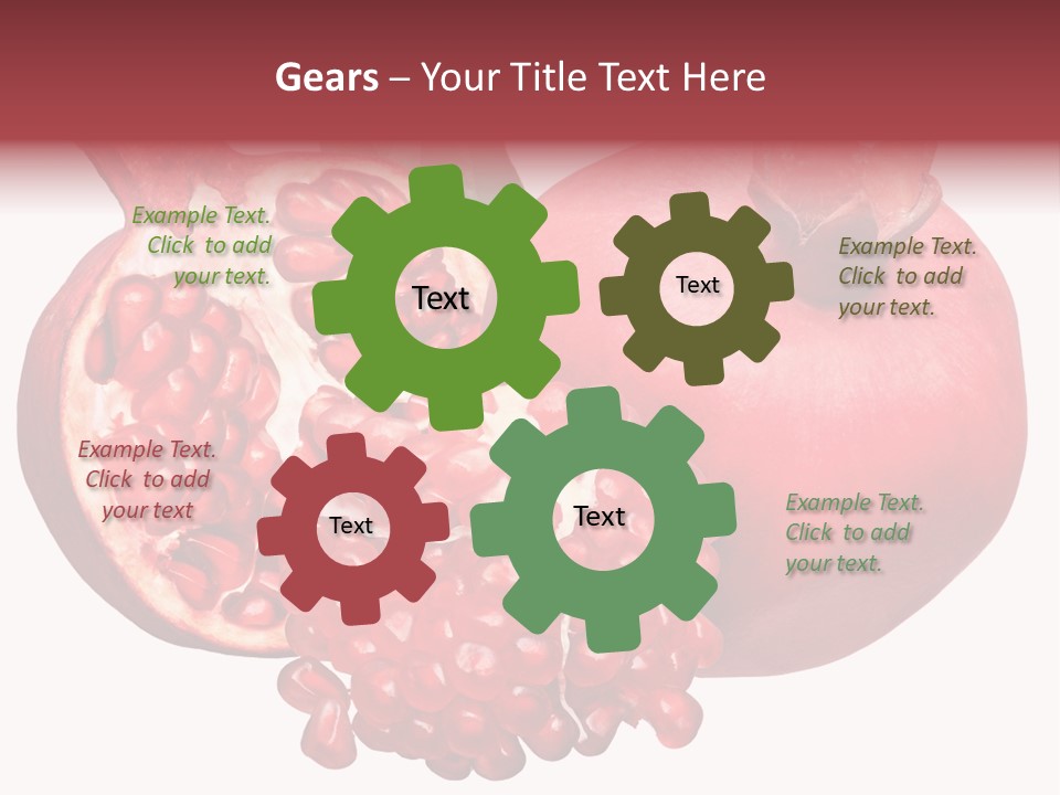 Isolated Pomegranate Background PowerPoint Template