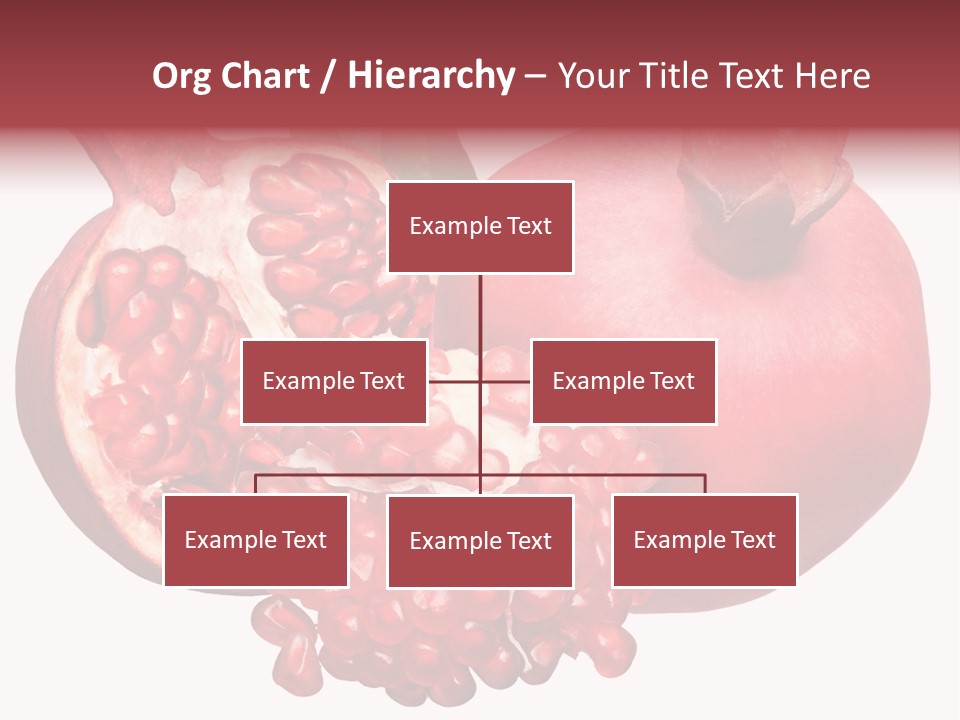 Isolated Pomegranate Background PowerPoint Template