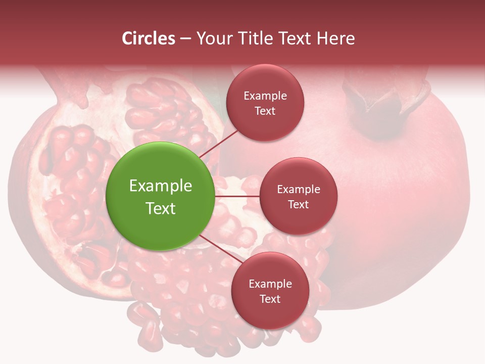 Isolated Pomegranate Background PowerPoint Template