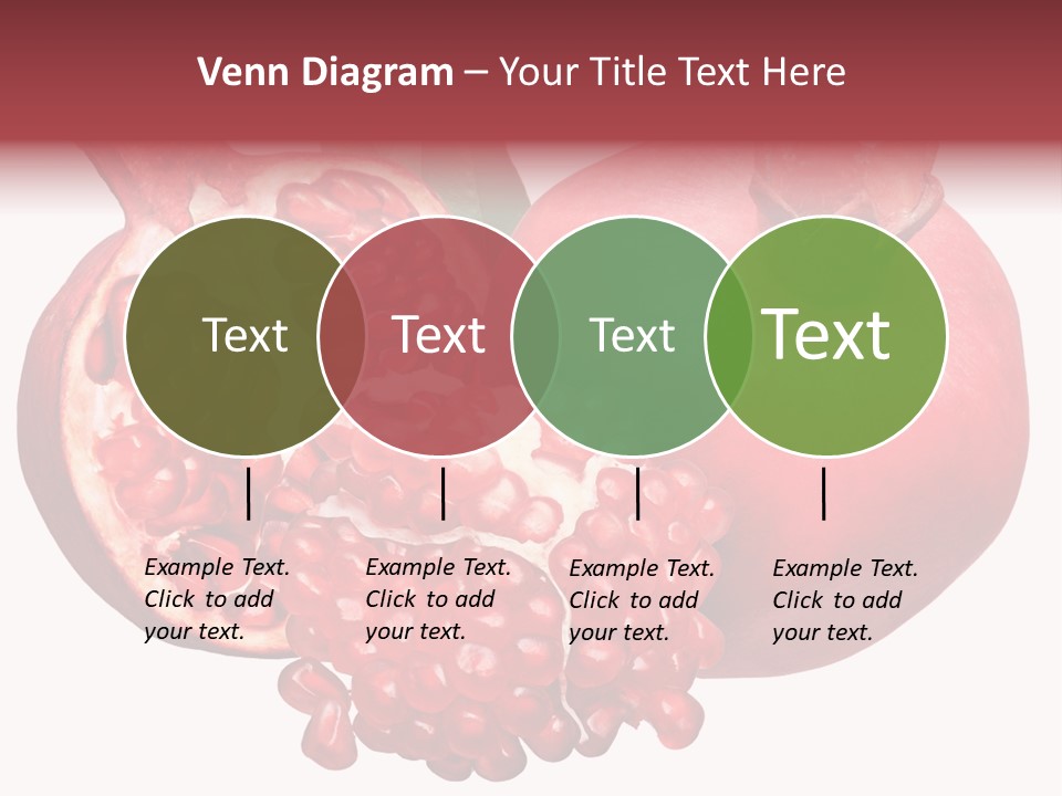 Isolated Pomegranate Background PowerPoint Template