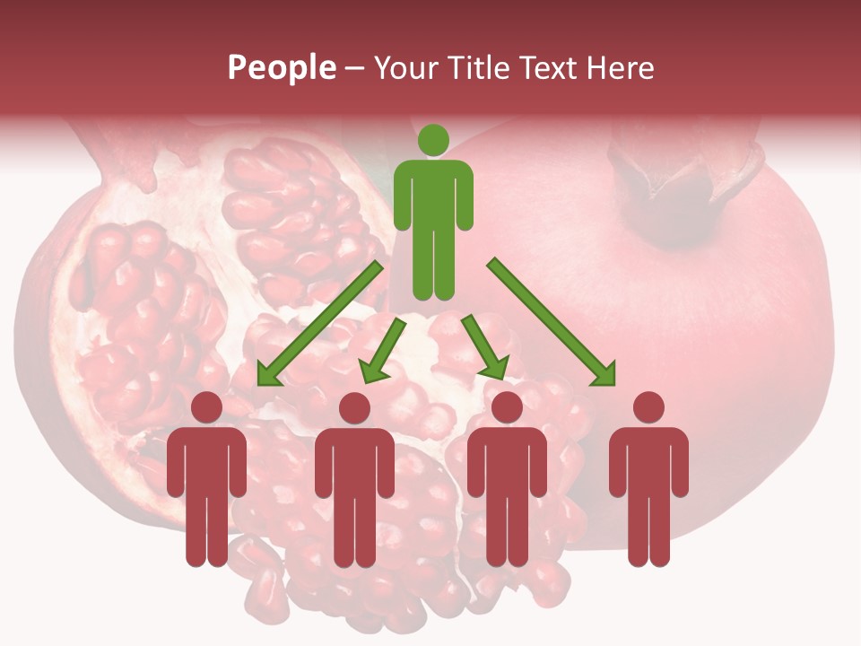 Isolated Pomegranate Background PowerPoint Template