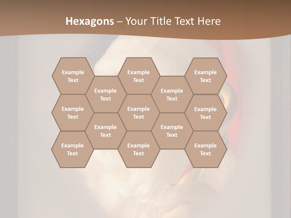 Male Occasion White PowerPoint Template