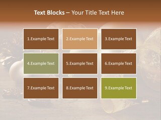 Ball Life Decoration PowerPoint Template