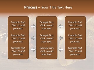 Ball Life Decoration PowerPoint Template