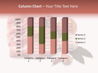 White Preparation Butchery PowerPoint Template