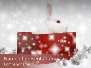 Christmas Decoration Xmas PowerPoint Template