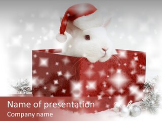 Snowflake Rabbit Pet PowerPoint Template