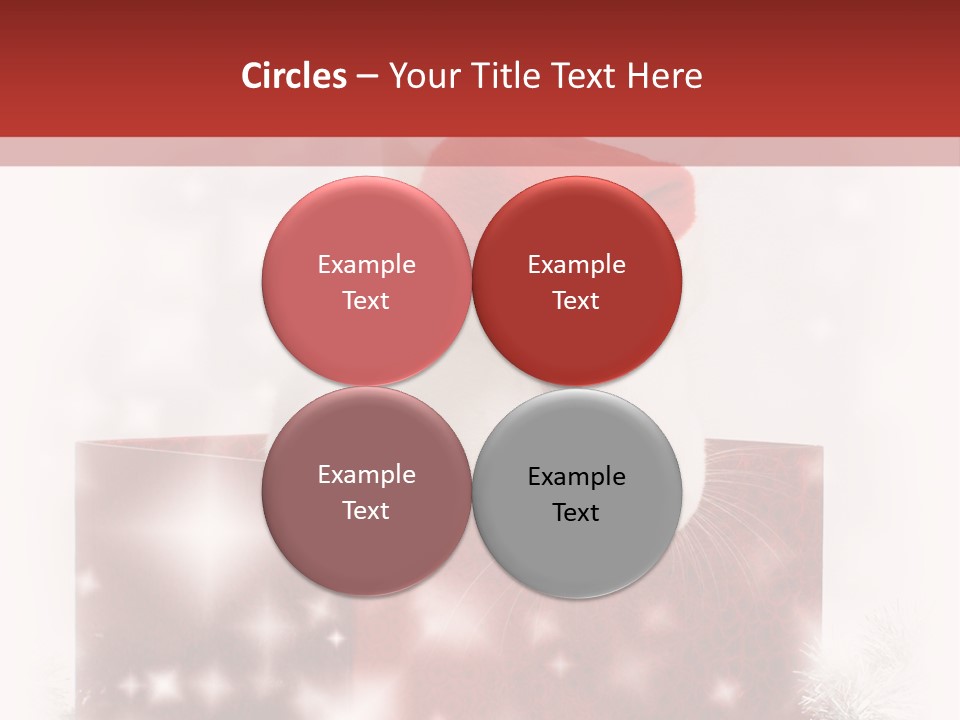 Gift Cute Rabbit PowerPoint Template