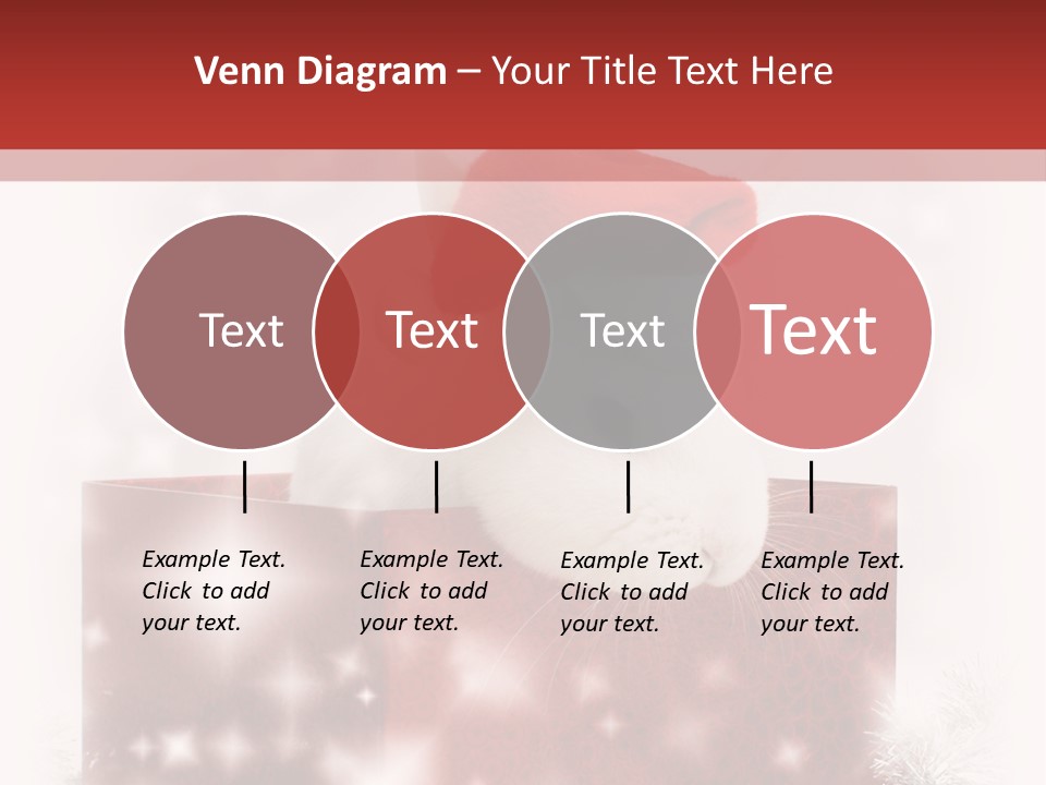 Gift Cute Rabbit PowerPoint Template