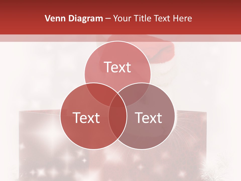 Gift Cute Rabbit PowerPoint Template