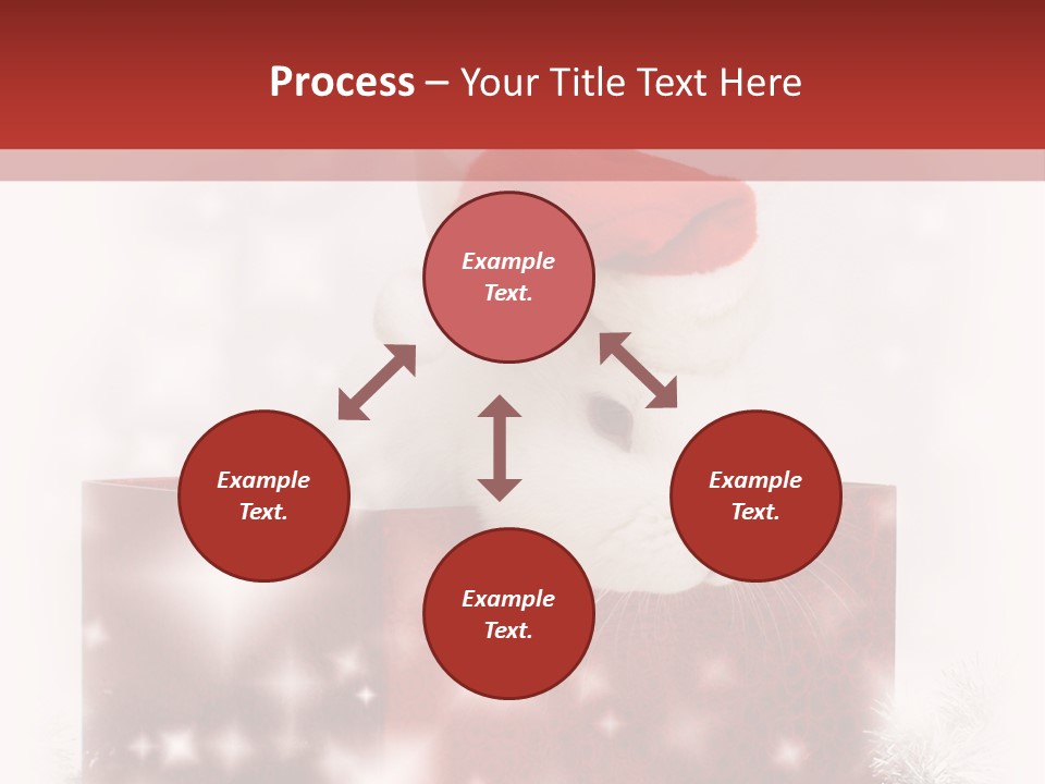 Gift Cute Rabbit PowerPoint Template