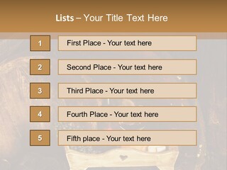 Central Life Cellar PowerPoint Template