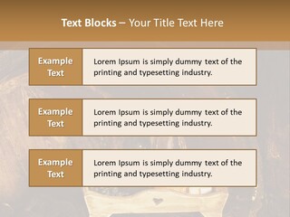 Central Life Cellar PowerPoint Template