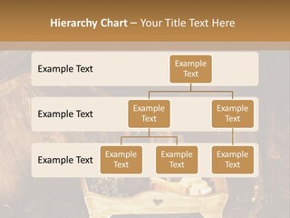 Central Life Cellar PowerPoint Template